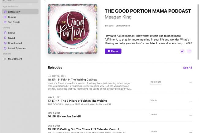 The Good Portion Mama Podcast iTunes by Morehawk